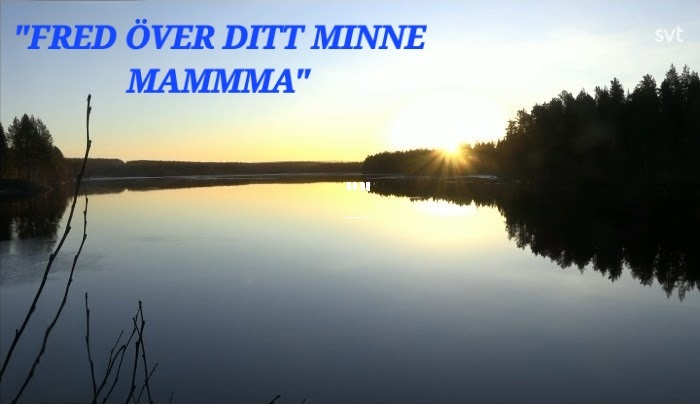 Klicka för att se förhandsgranska